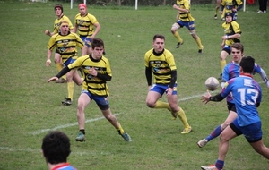 573775c35a80e_IMG9709.JPG
