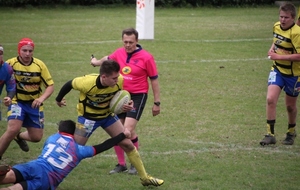 5737761f696cb_IMG9774.JPG