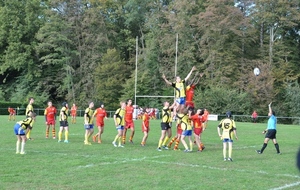 582226612130d_18.JPG