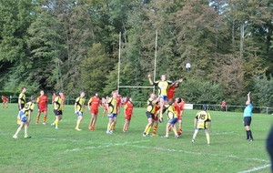 582226632d499_19.JPG
