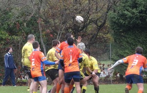 5828a5831fd15_DSC00400.JPG