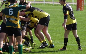 58d82c7c75646_DSC01410.JPG