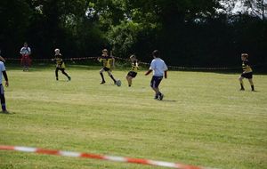 590796d8e6a49_DSC0831.JPG