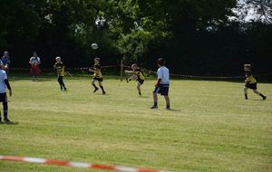 590796db3c773_DSC0832.JPG