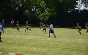 590796dda69be_DSC0833.JPG