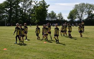 590796e0cbfb9_DSC0835.JPG