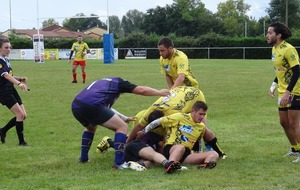 59ab18ab01e7f_DSC01661.JPG
