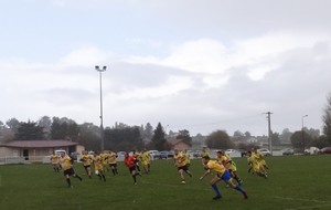 59ecf2c5922bb_DSC02157.JPG