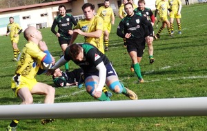 5a5bc01acd181_DSC02874.JPG