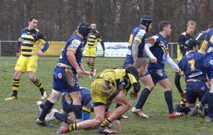 5a64fb367b416_DSC03011.JPG