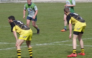 5ab8bef6042cc_DSC03357.JPG