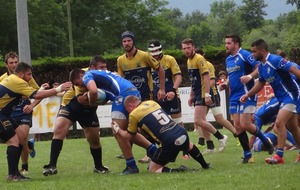 5b1673e7ec6de_DSC03571.JPG