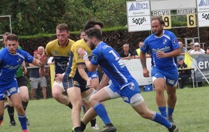 5b1673ea93394_DSC03572.JPG