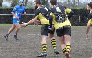 5c3ba451623a5_DSC04561.JPG