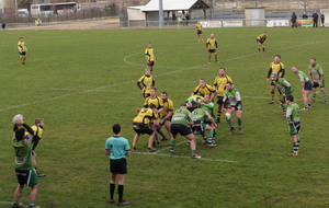 5c461114bddc5_P1020715.JPG