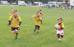 6164958bb873c_IMG20211009WA0005.jpg