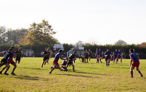 617fc39a20760_MG4445.jpg