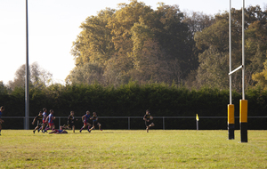 617fc3db64b36_MG4455.jpg