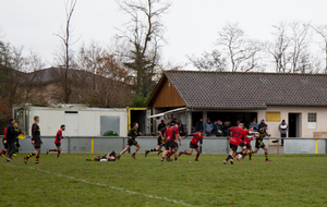 61ab426a6090f_MG4557.jpg