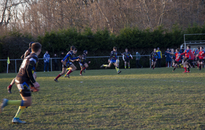 61fa6d4812483_MG4644.jpg