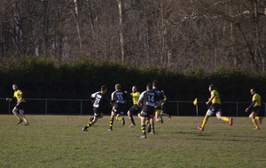 6228b5da23018_MG4802.jpg