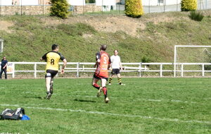 6242c18b34558_P1030605.JPG