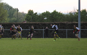 6265a9bbb6125_IMG4915.jpg
