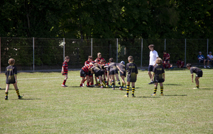 62ab08b13699b_MG5280.jpg