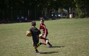 62ab09858501d_MG5293.jpg