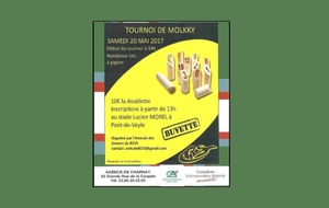 TOURNOI DE MOLKKY organisé par l'Amicale des Joueurs du RCVS