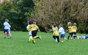 Tournoi U8
