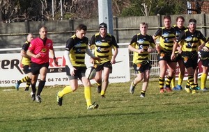 RHODIA CLUB RUGBY - RCVS