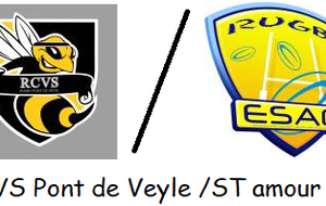 RCVS-ST amour