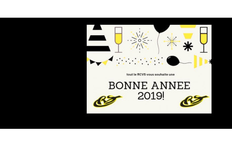 Meilleurs voeux 2019 !